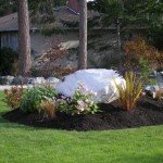 landscaping-lawn-maintenance-victoria-bc2