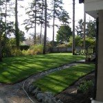 new-lawn-installations-victoria-bc